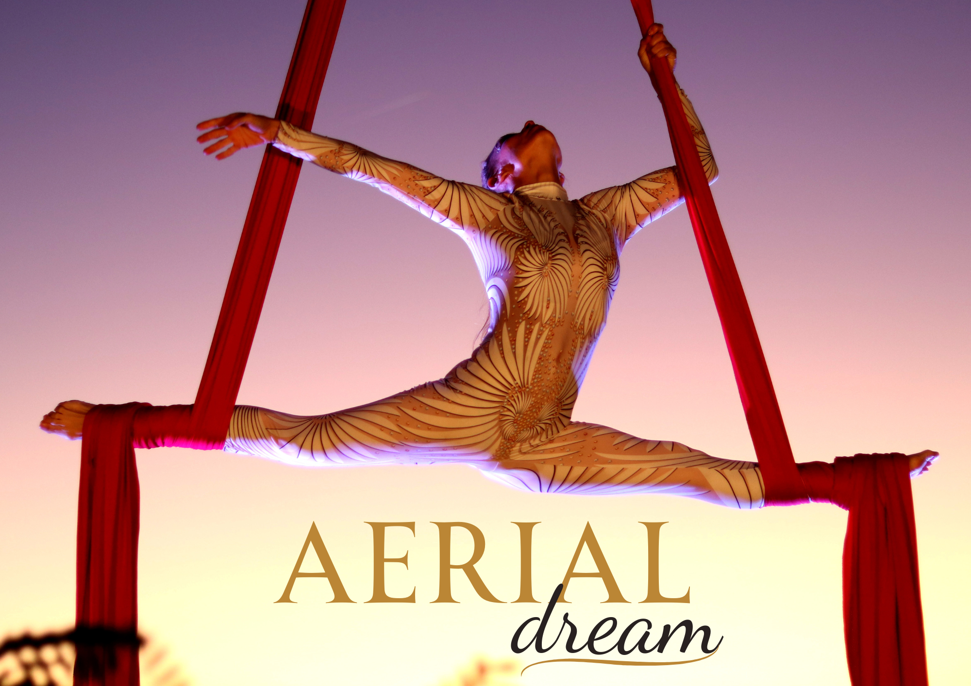 Lumina Performances - Acrobata