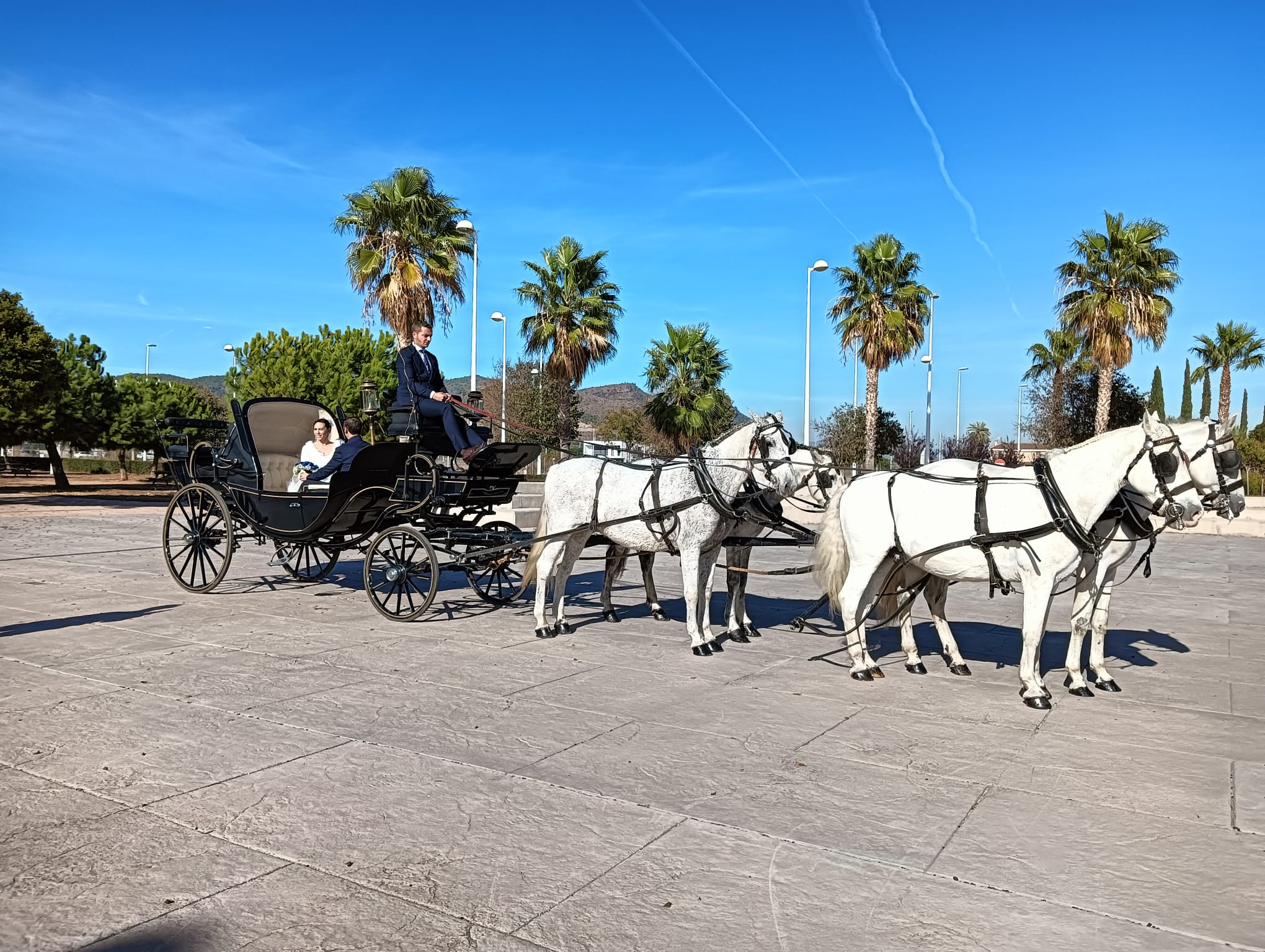 Coches landos