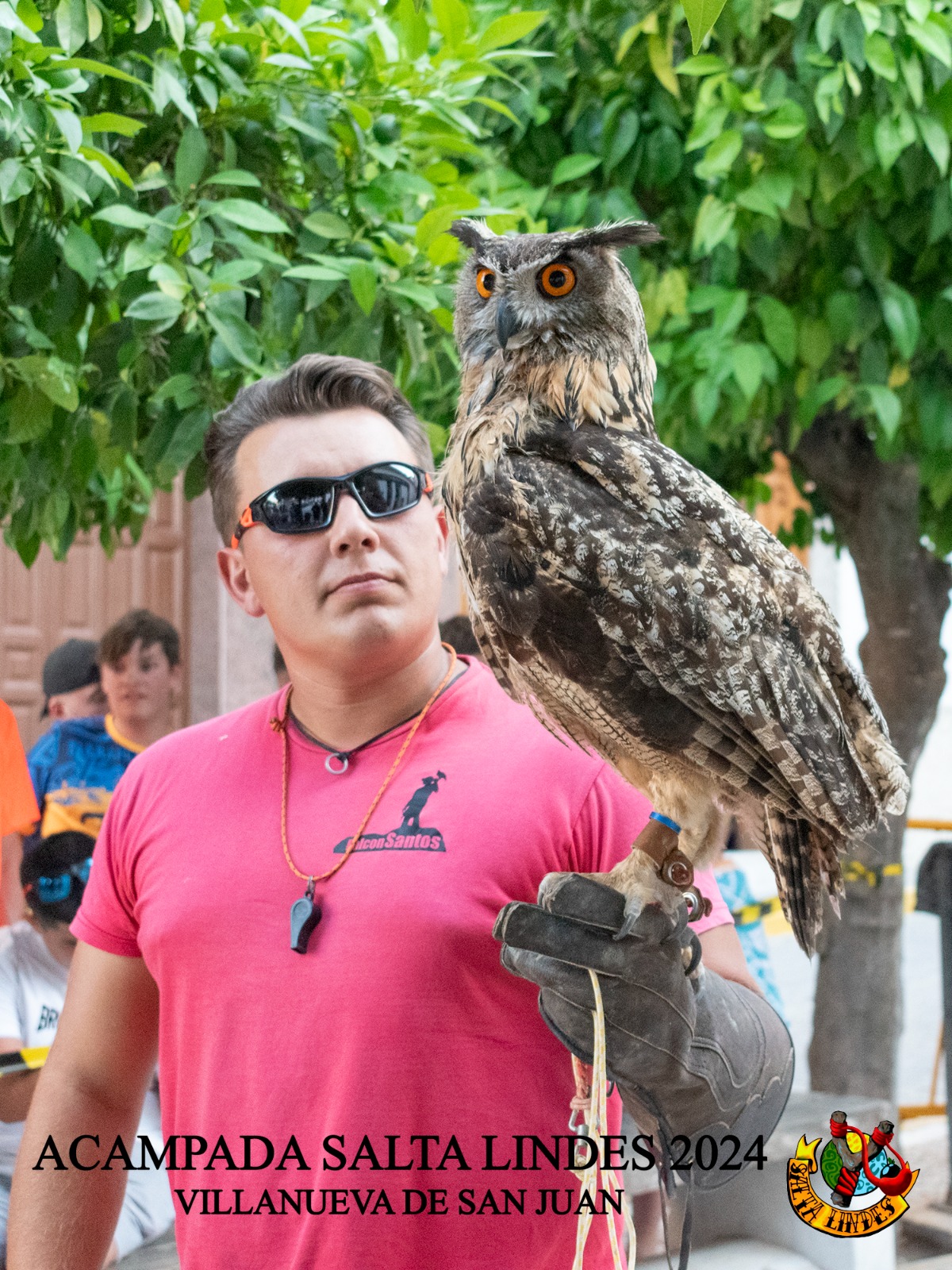 FalconSantos