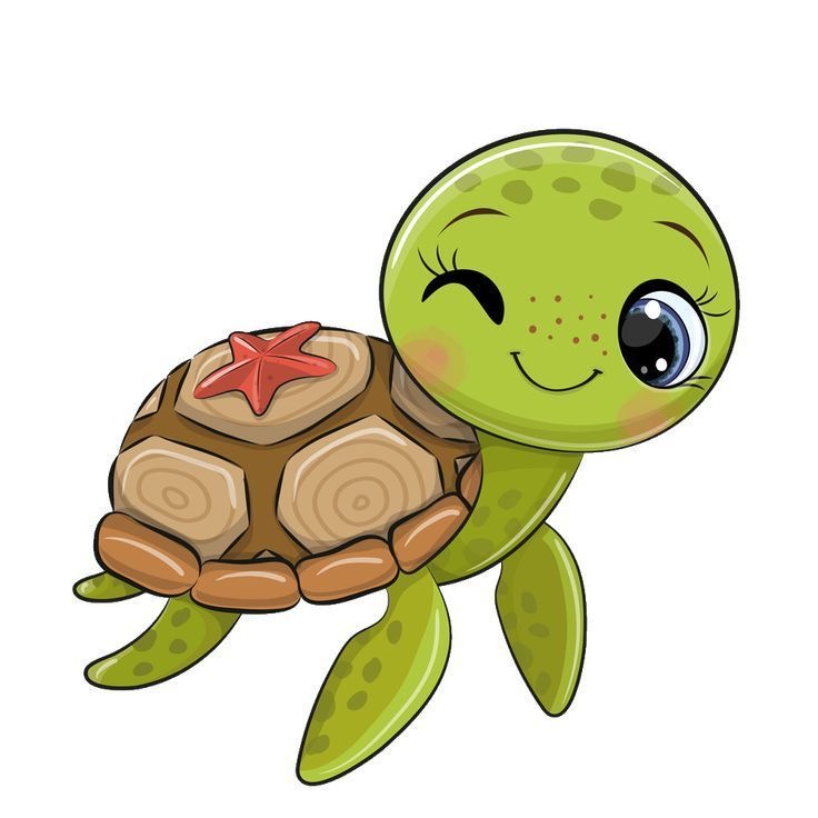 Animaciones Tortuga